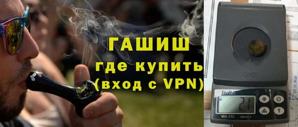 прущие грибы Горняк