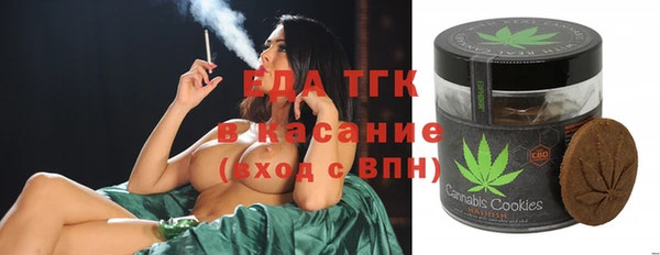 прущие грибы Горняк