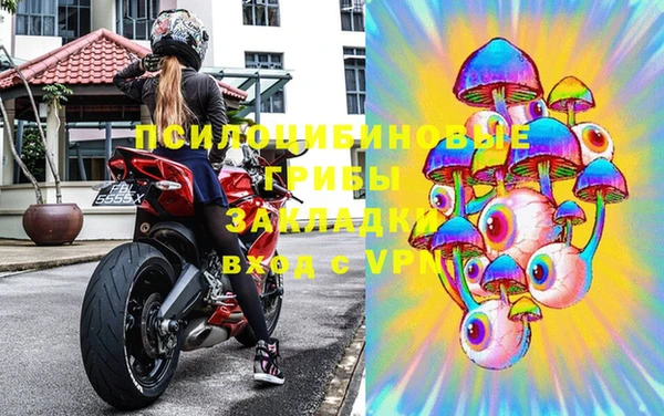 прущие грибы Горняк