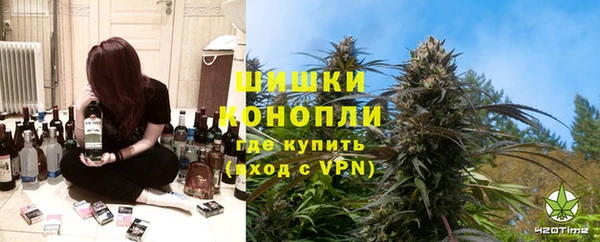 прущие грибы Горняк