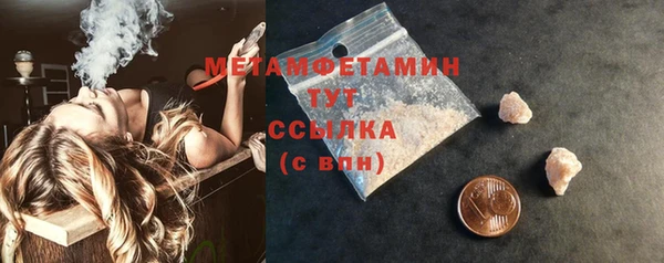 прущие грибы Горняк