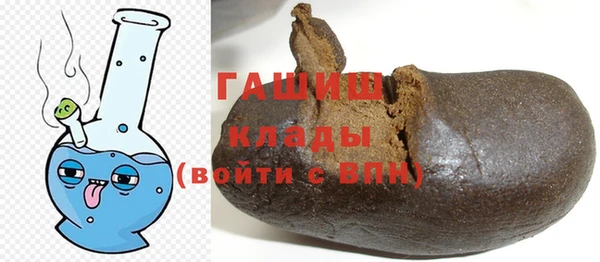 прущие грибы Горняк