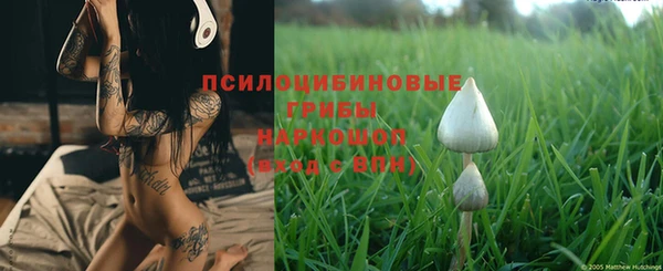 герыч Горнозаводск